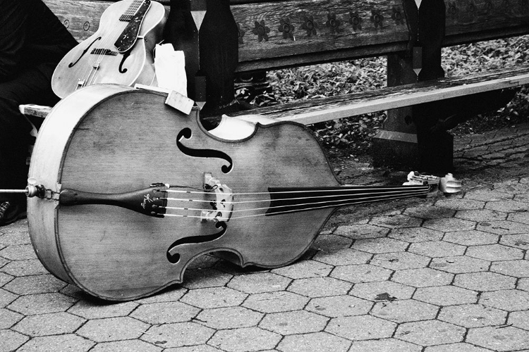 Picture of CELLO