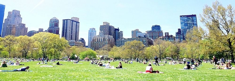 Picture of CENTRAL PARK PICNIC