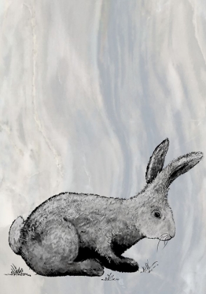 Picture of BUNNY ON MARBLE IV
