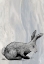 Picture of BUNNY ON MARBLE IV
