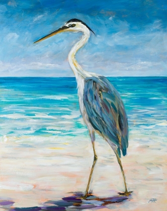 Picture of EGRET BEACH
