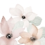Picture of BLOOMING WHISPERS CLOSE-UP II