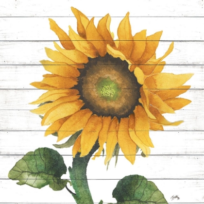 Picture of HAPPY SUNFLOWER II
