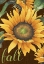 Picture of SUNFLOWERS IN THE FALL