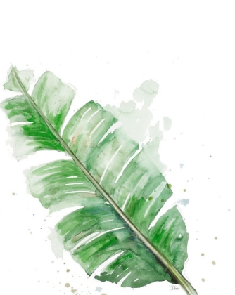 Picture of PALM FROND III