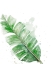 Picture of PALM FROND III