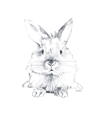 Picture of SKETCHED RABBIT V