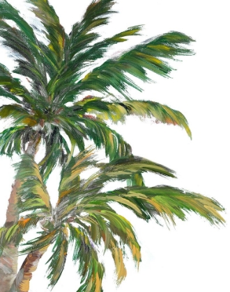 Picture of TROPICAL TREES ON WHITE I