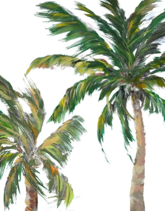 Picture of TROPICAL TREES ON WHITE II