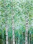 Picture of GREEN BIRCHWOOD I
