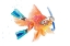 Picture of SNORKELING FISH (TWO FLIPPERS)