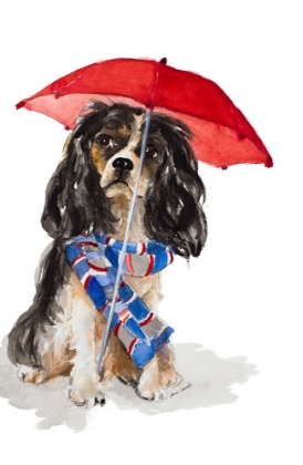 Picture of KING CHARLES SPANIEL IN THE RAIN