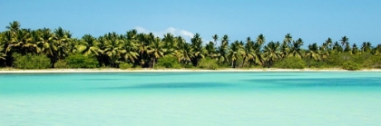 Picture of TROPICAL PARDISE