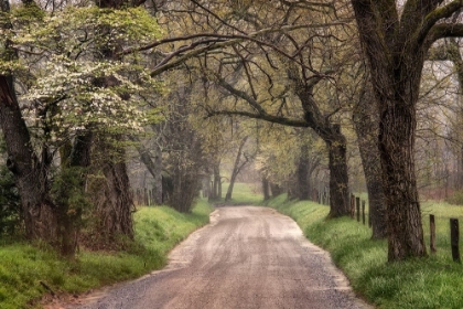 Picture of NATURE TRAIL WALKS