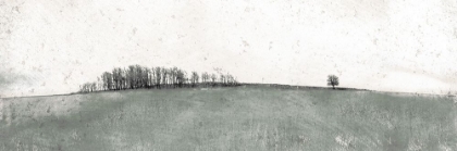 Picture of MUTED DISTANT TREES