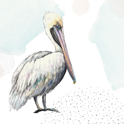 Picture of TURQUOISE PELICAN