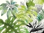Picture of GREEN PALMS SELVA I