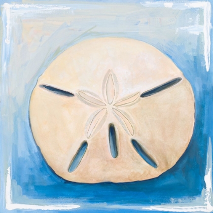 Picture of SAND DOLLAR ON BLUE