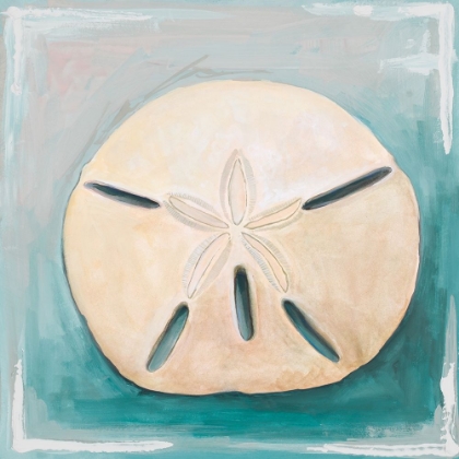 Picture of SAND DOLLAR ON TEAL