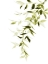 Picture of SINGLE BRANCH II