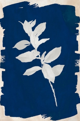 Picture of WHITE LEAF ON NAVY II