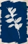 Picture of WHITE LEAF ON NAVY II