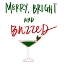 Picture of MERRY, BRIGHT AND BUZZED