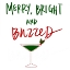 Picture of MERRY, BRIGHT AND BUZZED