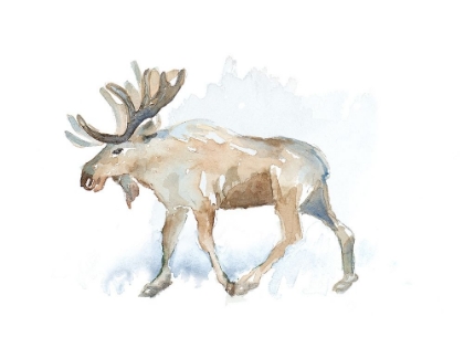 Picture of WATERCOLOR MOOSE