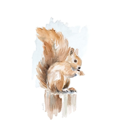 Picture of WATERCOLOR SQUIRREL