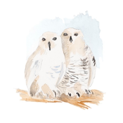 Picture of WATERCOLOR SNOWY OWLS
