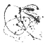 Picture of ABSTRACT SPLASH II