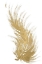 Picture of GOLD FEATHER II