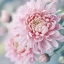 Picture of ROMANTIC BLOSSOM
