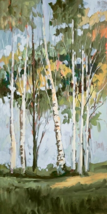 Picture of GOLDEN BIRCH TREES II