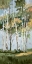Picture of GOLDEN BIRCH TREES II