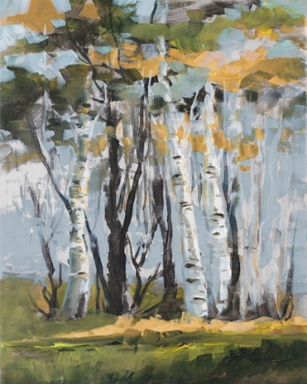 Picture of GOLDEN BIRCH TREES
