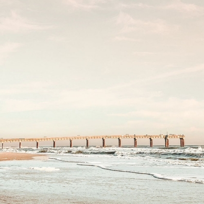 Picture of DOCK ON THE BEACH