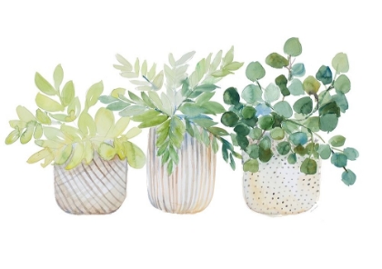 Picture of THREE POTTED PLANTS
