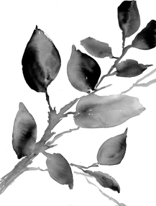 Picture of GRAY PHILODENDRON BRANCH
