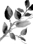 Picture of GRAY PHILODENDRON BRANCH