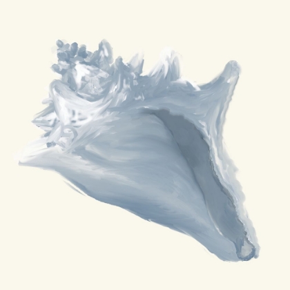 Picture of BLUE CONCH SHELL ON CREAM