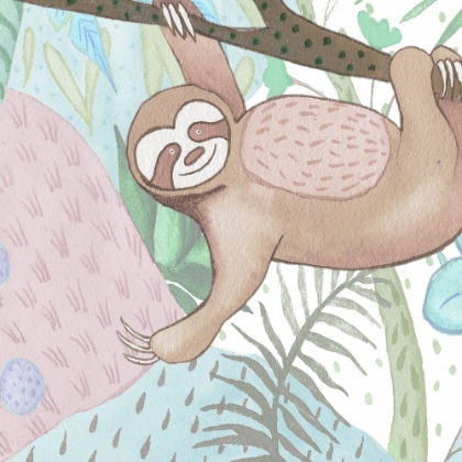 Picture of SWINGING SLOTH