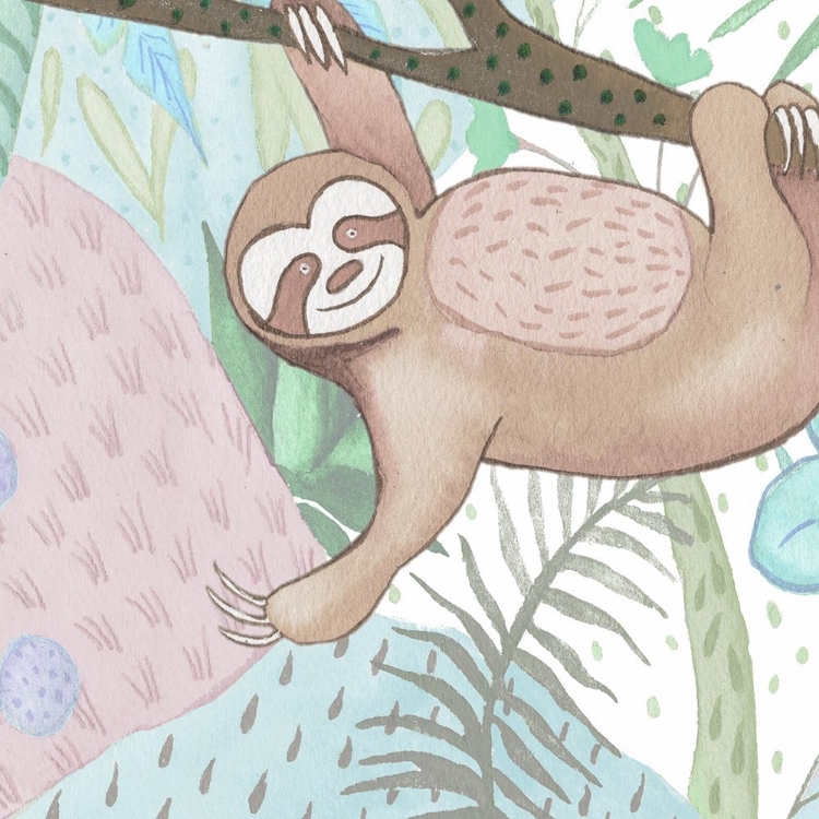 Picture of SWINGING SLOTH
