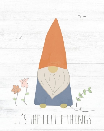 Picture of ITS THE LITTLE THINGS (GNOME)