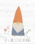 Picture of ITS THE LITTLE THINGS (GNOME)