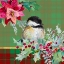 Picture of HOLIDAY POINSETTIA AND CARDINAL ON PLAID II