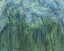 Picture of TROPIC STORM