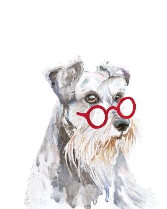 Picture of SCHNAUZER DOG WITH GLASSES