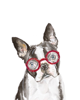 Picture of FRENCH BULLDOG WITH GLASSES